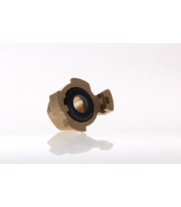 Rac Expr Fem. 15/21 + Joint