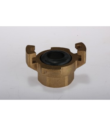Rac Expr Fem. 26/34 + Joint