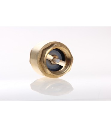 Clapet Anti retour Fem 40/49