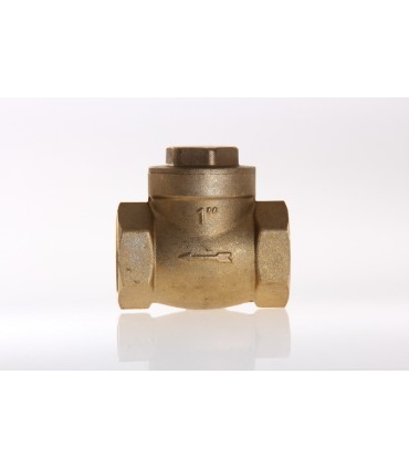 Clapet à Battant Laiton 50/60