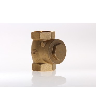 Clapet à Battant Laiton 50/60