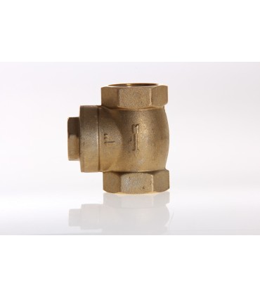 Clapet à Battant Laiton 50/60