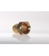 Rac1031 PTR 26 F 26/34 S/Carte