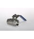 Vanne Inox Passage Intégral FF 20 x 27