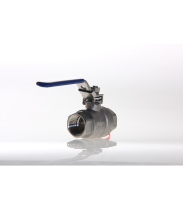 Vanne Inox Passage Intégral FF 20 x 27