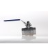 Vanne Inox Passage Intégral FF 20 x 27