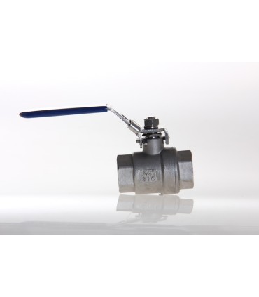 Vanne Inox Passage Intégral FF 20 x 27