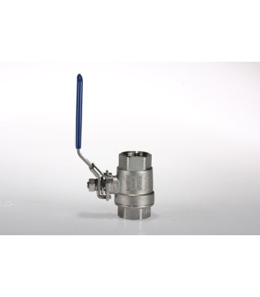Vanne Inox Passage Intégral FF 20 x 27