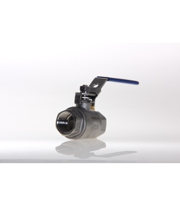 Vanne Inox Passage Intégral FF 20 x 27