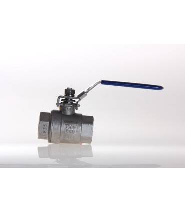 Vanne Inox Passage Intégral FF 20 x 27