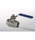 Vanne Inox Passage Intégral FF 20 x 27