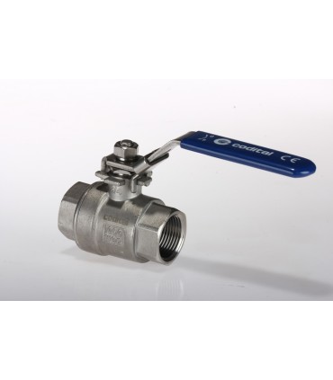 Vanne Inox Passage Intégral FF 20 x 27