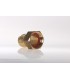 Rac1031 PTR 36 F 40/49 S/Carte