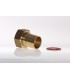 Rac1031 PTR 36 F 40/49 S/Carte