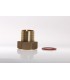 Rac1031 PTR 36 F 40/49 S/Carte