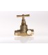 Rob.Souder Purg.14x16-1621-S/C