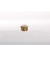 Bouchon Male10/100 1021 S/C.