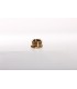 Bouchon Male10/100 1021 S/C.