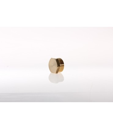 Bouchon Male10/100 1021 S/C.