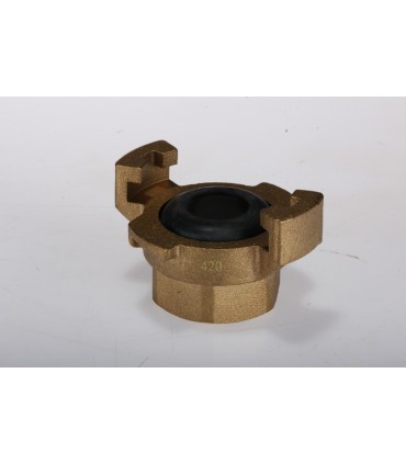 Rac Expr Femelle 15/21 -1473-