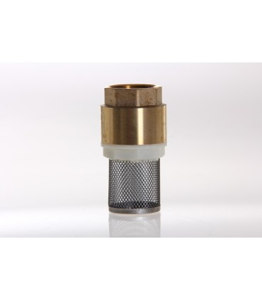 Crépine av Filtre Inox F.20/27