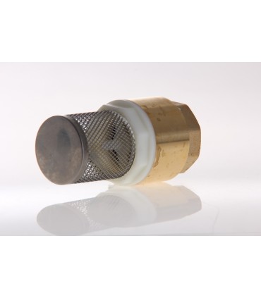 Crépine av Filtre Inox F.20/27