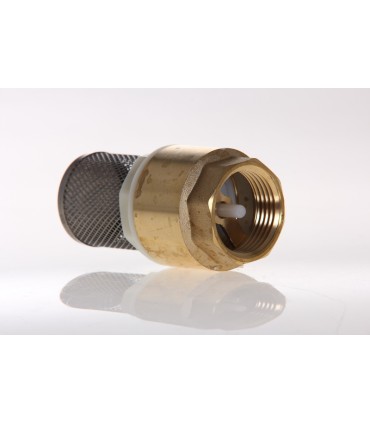 Crépine av Filtre Inox F.40/49