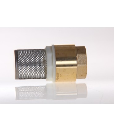 Crépine av Filtre Inox F.40/49