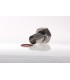 Rac3031 Inox10 F 12/17 S/Carte