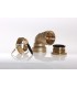 Coude Lait Ø 40 33/42