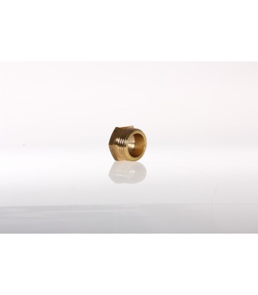 Bouchon Male 12/17 par 10