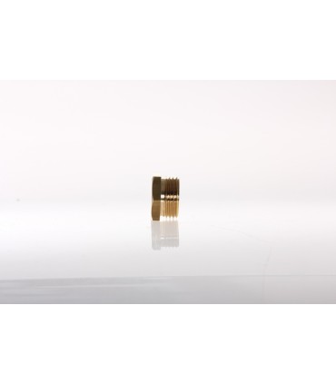 Bouchon Male 12/17 par 10